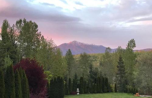 Treehouse Place at Deer Ridge Featured top 10 USA - Foto 37