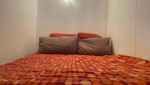 Nido Felice - Foto 5