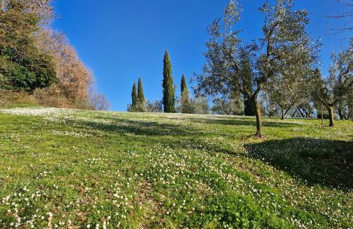 Agriturismo Val della Pieve - Foto 31