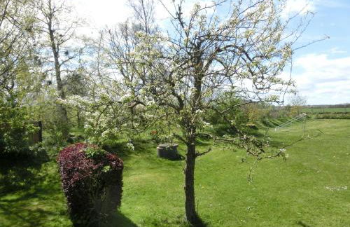 Kastanienhof - Foto 9