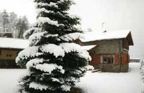 Ca l'Avet - Photo 21