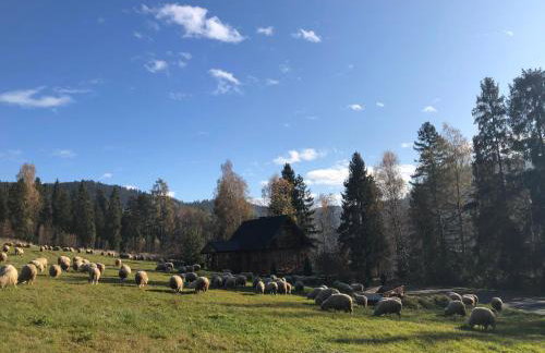 Domek w górach - Foto 12