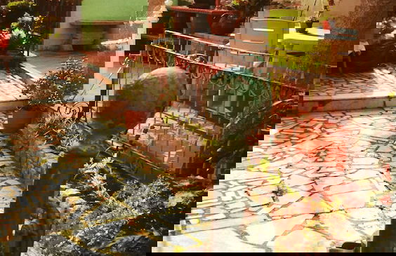 Andar Inferior Casa Mariona Caminha - Photo 14