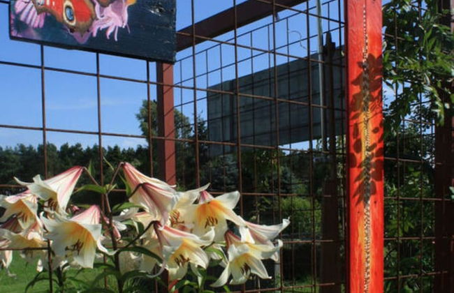 Living Lust 3 in Malchow - Foto 17