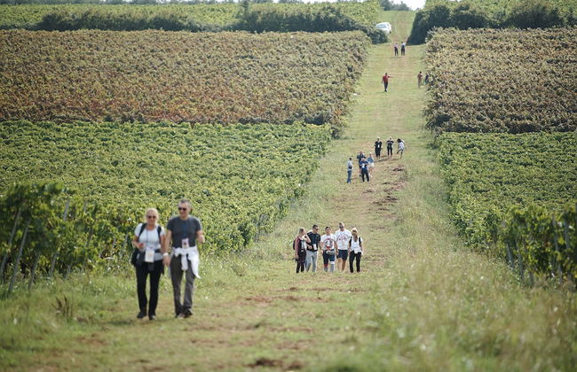 Skiper Golf Resort - Photo 33