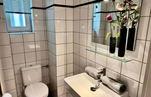 Spectecular Rhineview Fair Parking Luxury 12 Pers - Foto 28