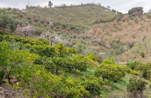 Alojamiento Rural Casa La Era - Foto 24