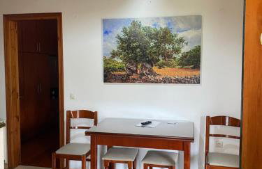 Green Studio - Foto 9