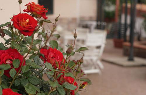 Residence San Salvatore - Foto 45