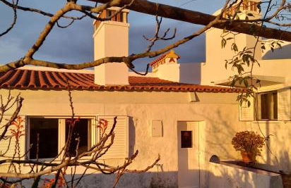 Olive -Casa da Boavista - Foto 28