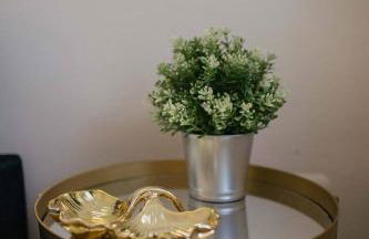 Tra Lago Maggiore e lago d'Orta Appartamento ACQUA - Foto 61