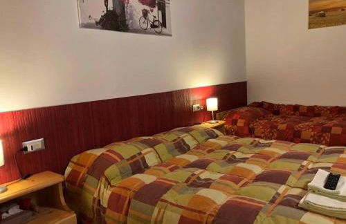 Agriturismo il Podere Vedelago con San Bernardo, Alpaca e una Pentola di cose da scoprire - Foto 38