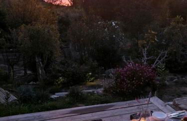 House With Pergola And Stunning Sunset On Elba - Foto 21