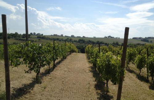 Agriturismo bio Verde Armonia - Photo 50