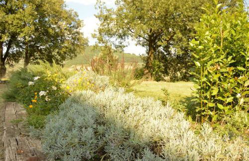 Agriturismo Riparossa - Foto 45