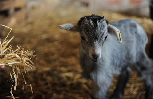 Vumba - The Bue-Maria Suite - Foto 21