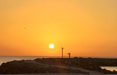 O Ninho 94 - Foto 21