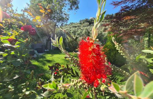 The Garden - Foto 26