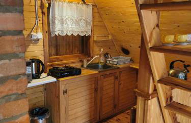 Zofiówka las - Foto 10