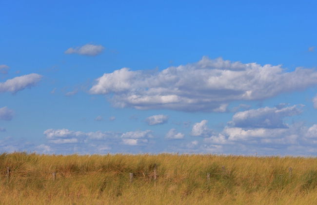 Apartment in Katwijk Near the Beach - Foto 32