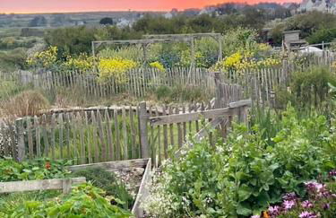 Bohémienne regarde la mer. - Foto 6