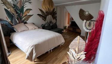 Cocon Jungle Hyper Centre - Foto 4