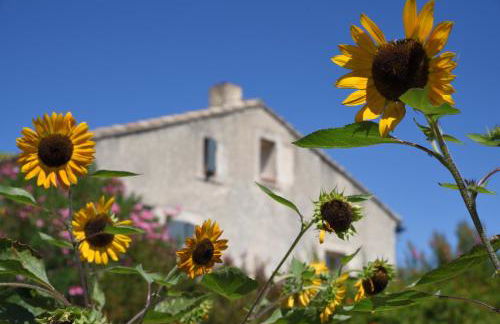 Gite Les Lavandes - Photo 78