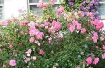 Charmante Bauernhofwohnung in Lautertal - Foto 27