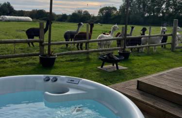 The Alpaca Cabin - Photo 31