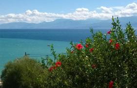 Cozy Apollon Villa, Sea View, Next To Galaxidi - Photo 7