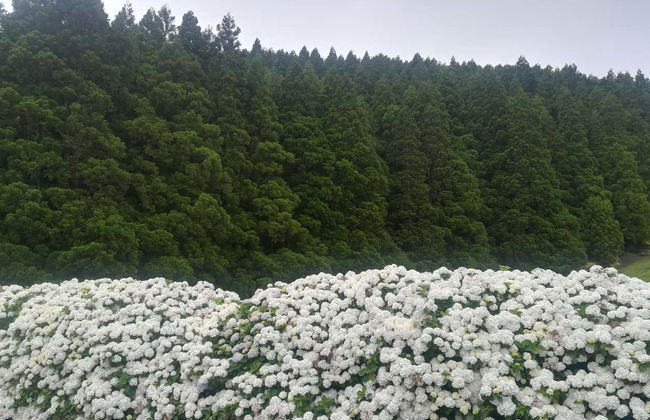 Tour di Terceira - Foto 1