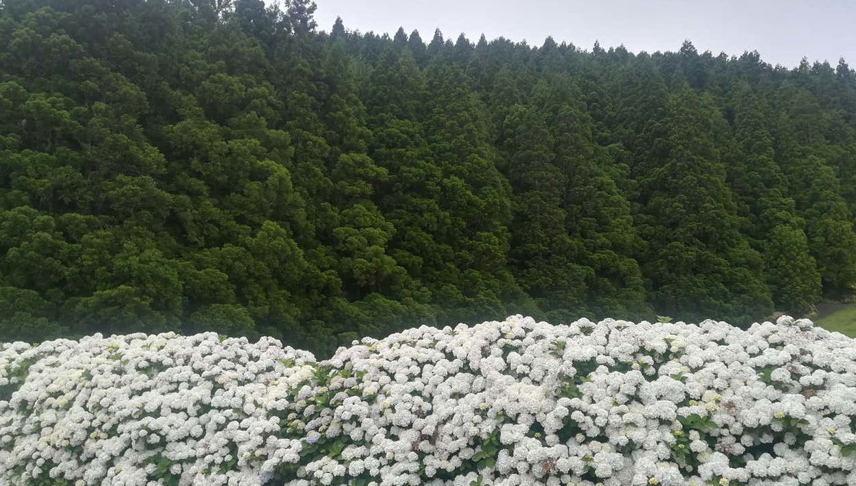 Contemplando il paesaggio nel tragitto in jeep