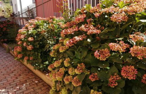 Casa Marina - Photo 20