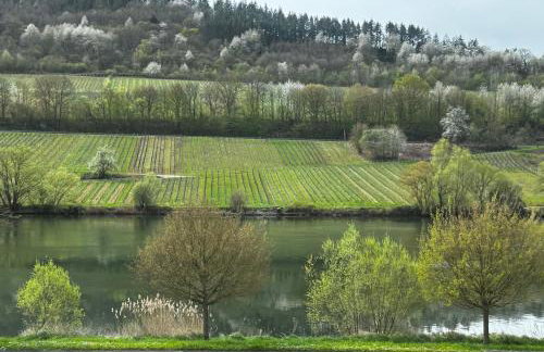 Ferienwohnung Merllorca 1 OG Moselblick Zell-Merl - Foto 3