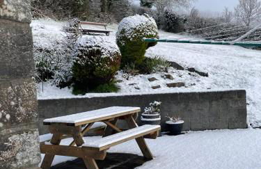 Ffyllon Fawr - Foto 29