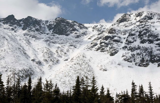 Happy Haven - Photo 43