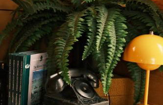 Crows Nest Treehouse At El Mistico Ranch - Foto 51