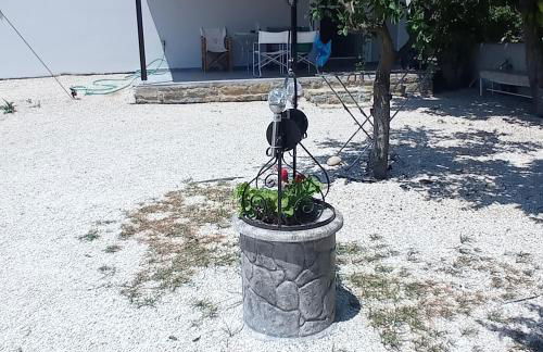 Avocado house - Photo 19