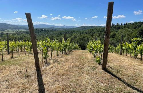 Luxury 1-bedroom house with the pool in Tuscany. - Foto 25