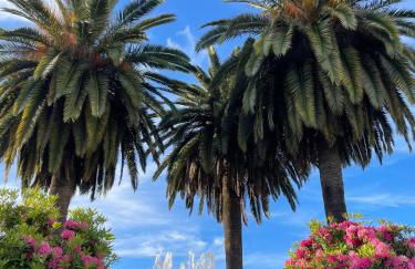 Casa Los Abuelos - Foto 40