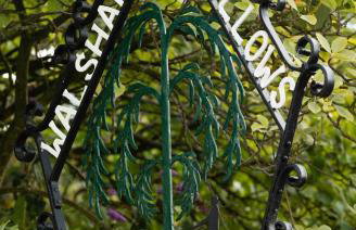 Vine Cottage - Foto 35