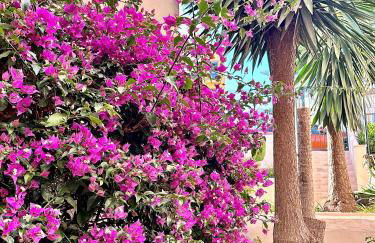 Art-Apart Caronte in Riviera del Sol, Mijas Costa - Photo 26