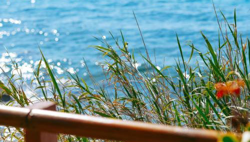 Aegean Heaven - Foto 3