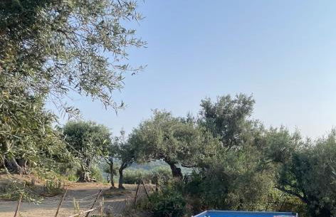 Beautiful views of the Aeolian Islands and the Cape of Milazzo - Foto 10