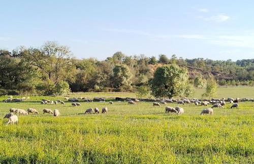 Mas 5 étoiles aux portes des Cévennes - Piscine privée 12m - Randos et Rivières - Foto 23