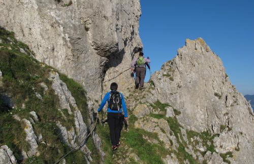 Playasonabia - Photo 32