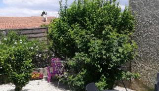 Petit cocon avec terrasse - Photo 3