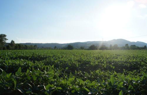 Agriturismo alla Corte - Foto 40