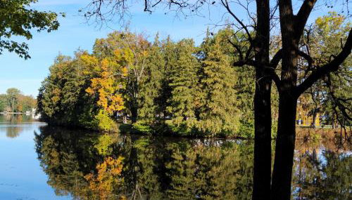 Cozy Quonset Hut On Maple Lake - Foto 1