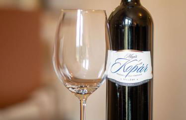 Domizil am Gohrisch - Foto 18